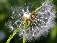 image003.jpg