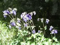 BILD9365.webp