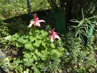 BILD9367.webp