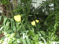 BILD9366.webp