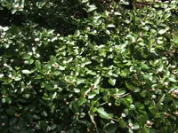 BILD9364.webp