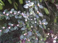 BILD9363.webp