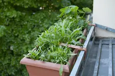 2018-05-04-085010-balkon.webp