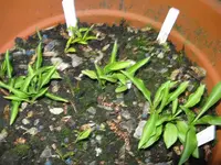 007_1024x768.webp