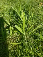 IMG_20180504_163535_01.jpg