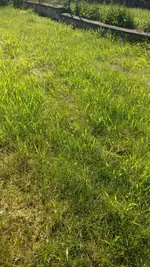 IMG_20180504_155701.jpg