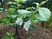 DSCF1003 (2).webp