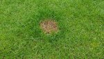 20180504_171727.jpg