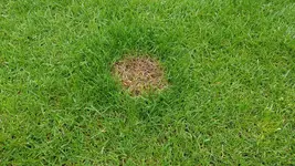 20180504_171727.webp