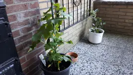 20180505_172207.webp