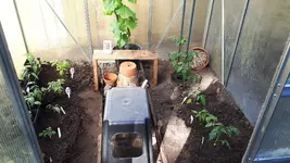 20180505_171016.webp