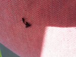 20180505_133406.jpg
