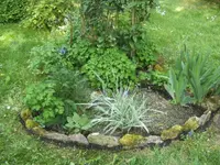 BILD9376.webp