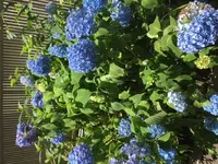 IMG_0660.webp