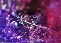 bunt14.webp