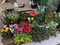 2018_05_06 15_33_09.webp