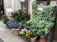 2018_05_06 15_29_35.webp