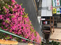 2018_05_06 15_44_58.webp