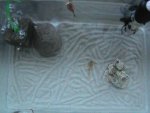 DSC02492.JPG