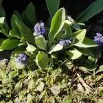20180506_154300.webp