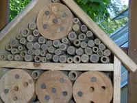 P1020375Insektenhotel.webp