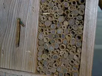 P1020374Insektenhotel.webp