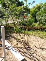 P1030230.webp