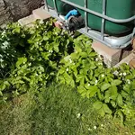 20180506_154418.webp