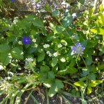 20180506_154512.jpg