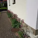 20180506_155132.jpg