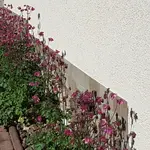 20180506_155001.jpg