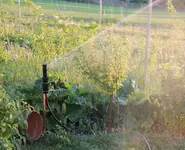 pgp_ultra.webp pgp_ultra.webp