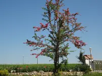 DSC02829.webp