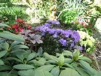IMG_6071.jpg