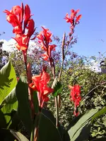 Foto0272.webp