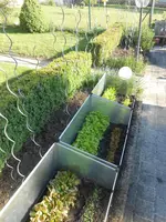 DSCN5872.webp
