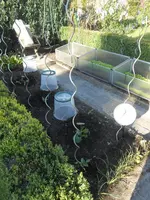 DSCN5873.webp