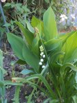 DSCN5875.jpg