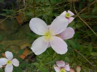 DSCN5876.webp