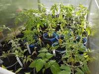 DSCN5863.jpg