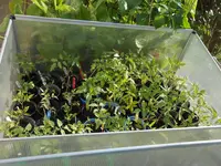 DSCN5868.jpg