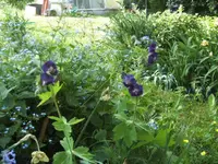 BILD9386.webp