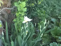 BILD9406.webp