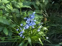 BILD9395.webp