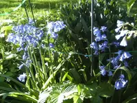 BILD9397.JPG