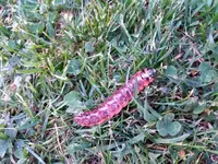 IMG_20180507_174354590.webp