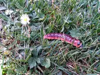 IMG_20180507_174348985.webp