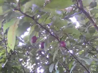 BILD9424.webp
