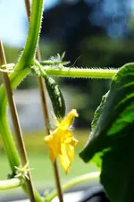 DSC05449.JPG
