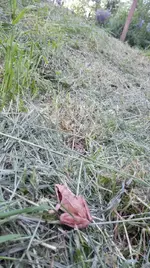 IMG_20180507_181109.jpg